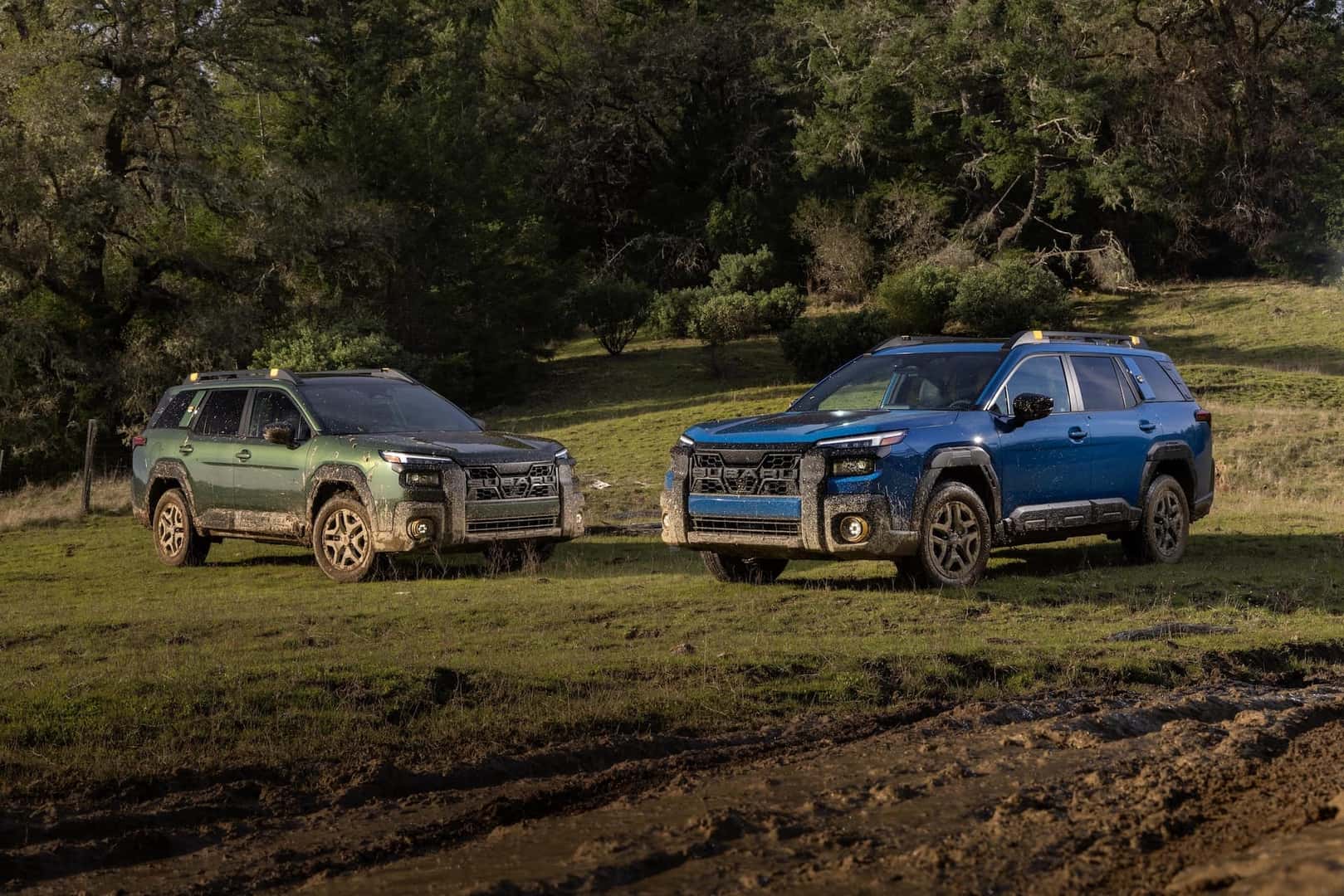 2026 Subaru Outback Wilderness Lineup