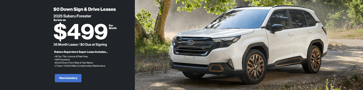 forester1