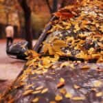 Colorful Leaves Covering a Car Needing Maintenance