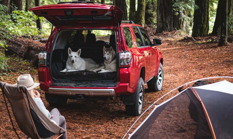 2024 Toyota 4Runner Exterior Camping With Dogs
