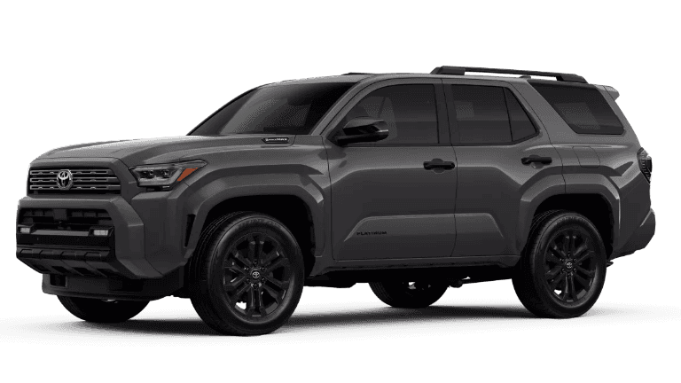 2025 Toyota 4Runner Platinum Exterior - Underground