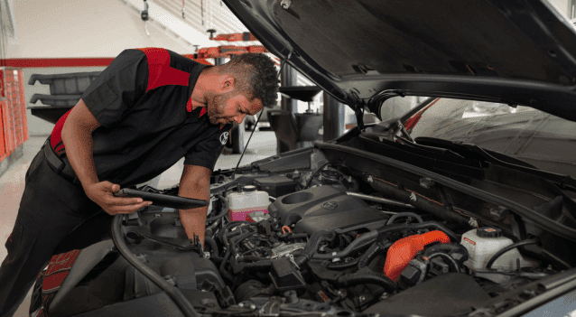 Professional automotive service