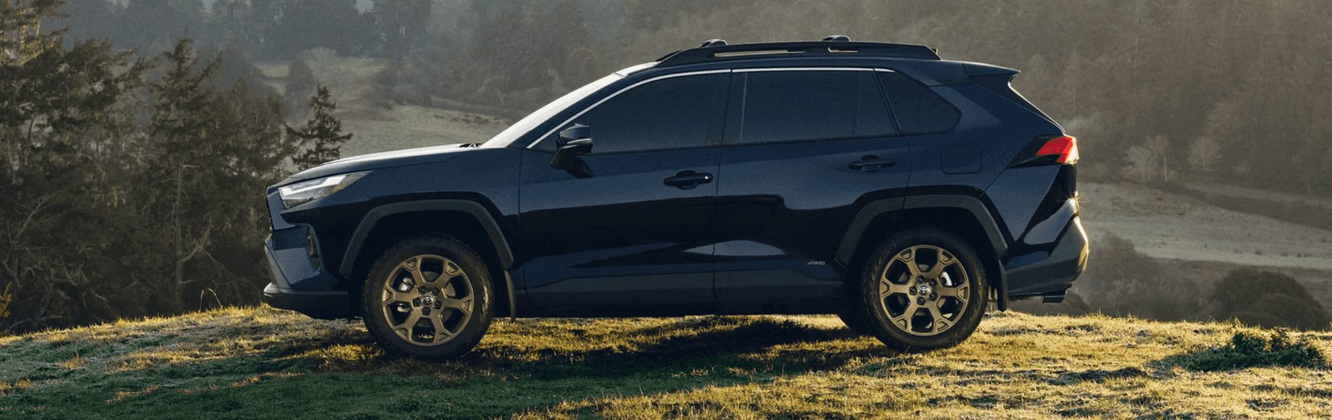 2025 Toyota 4Runner