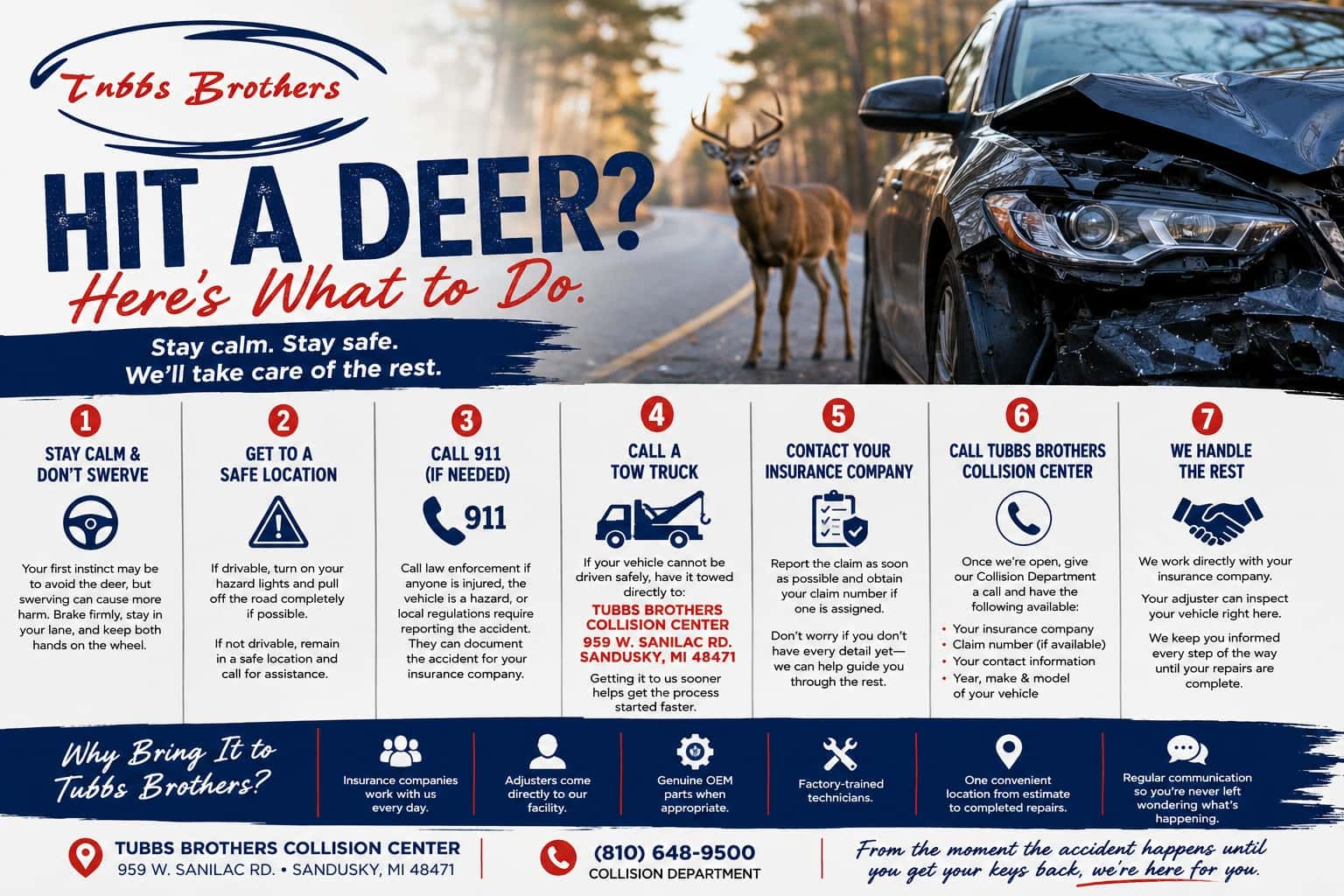 Deer Hit Headquarters