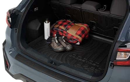 cargo tray