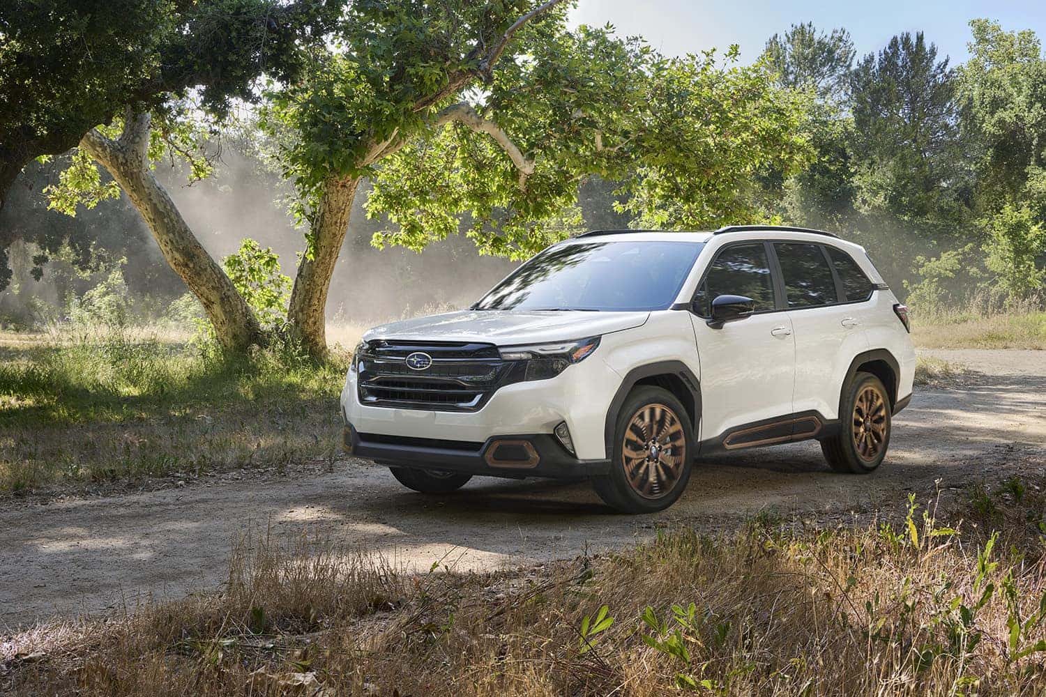 2025 Forester Sport in nature