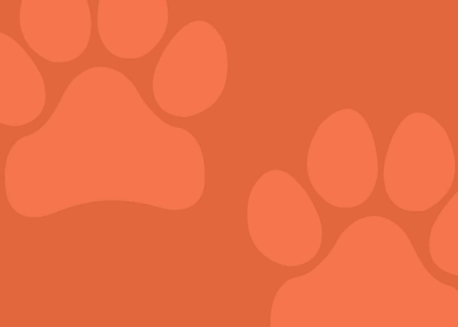 paw prints
