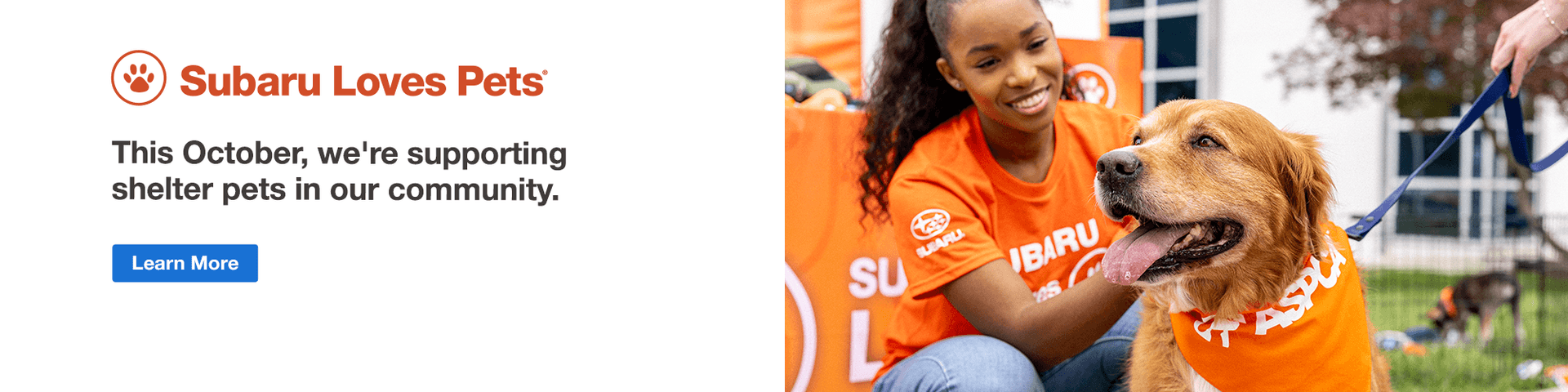 Subaru Loves Pets. Learn more to help shelter pets get adopted. Employee petting a dog