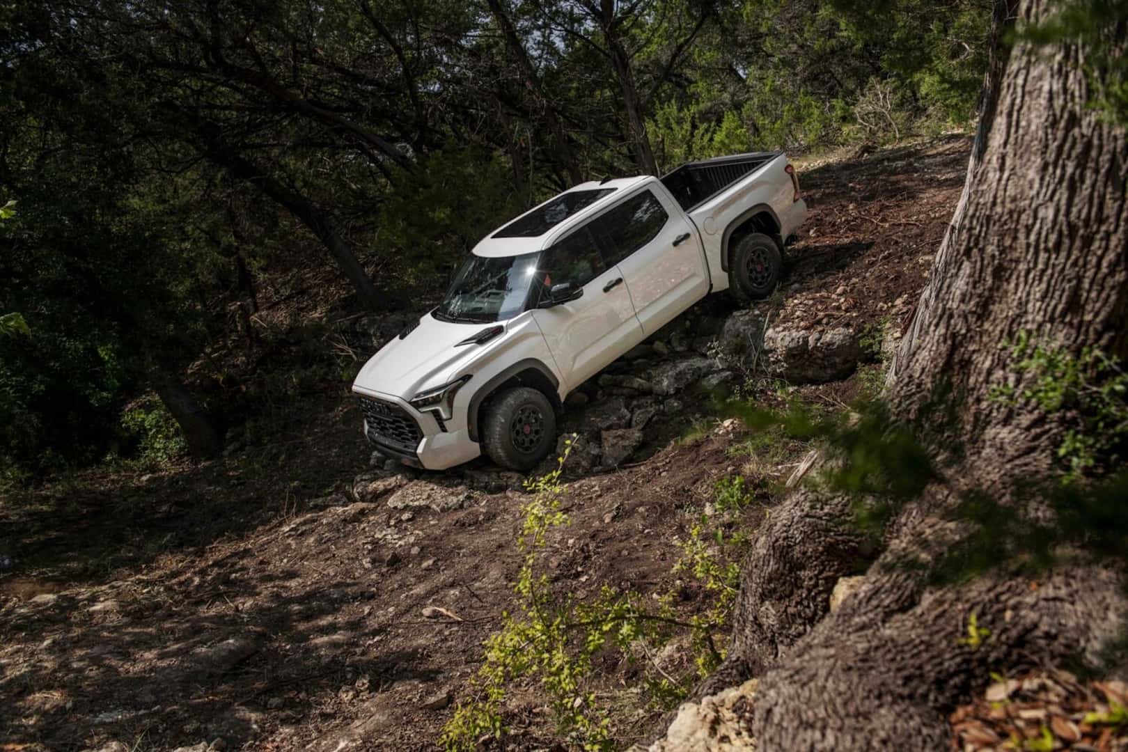 2026 Toyota Tundra TRD Pro Off-Road