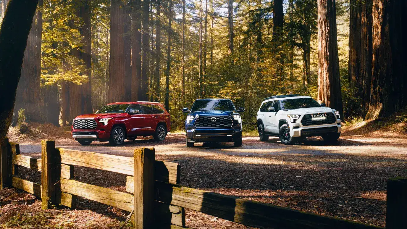 2026 Toyota Sequoia line up