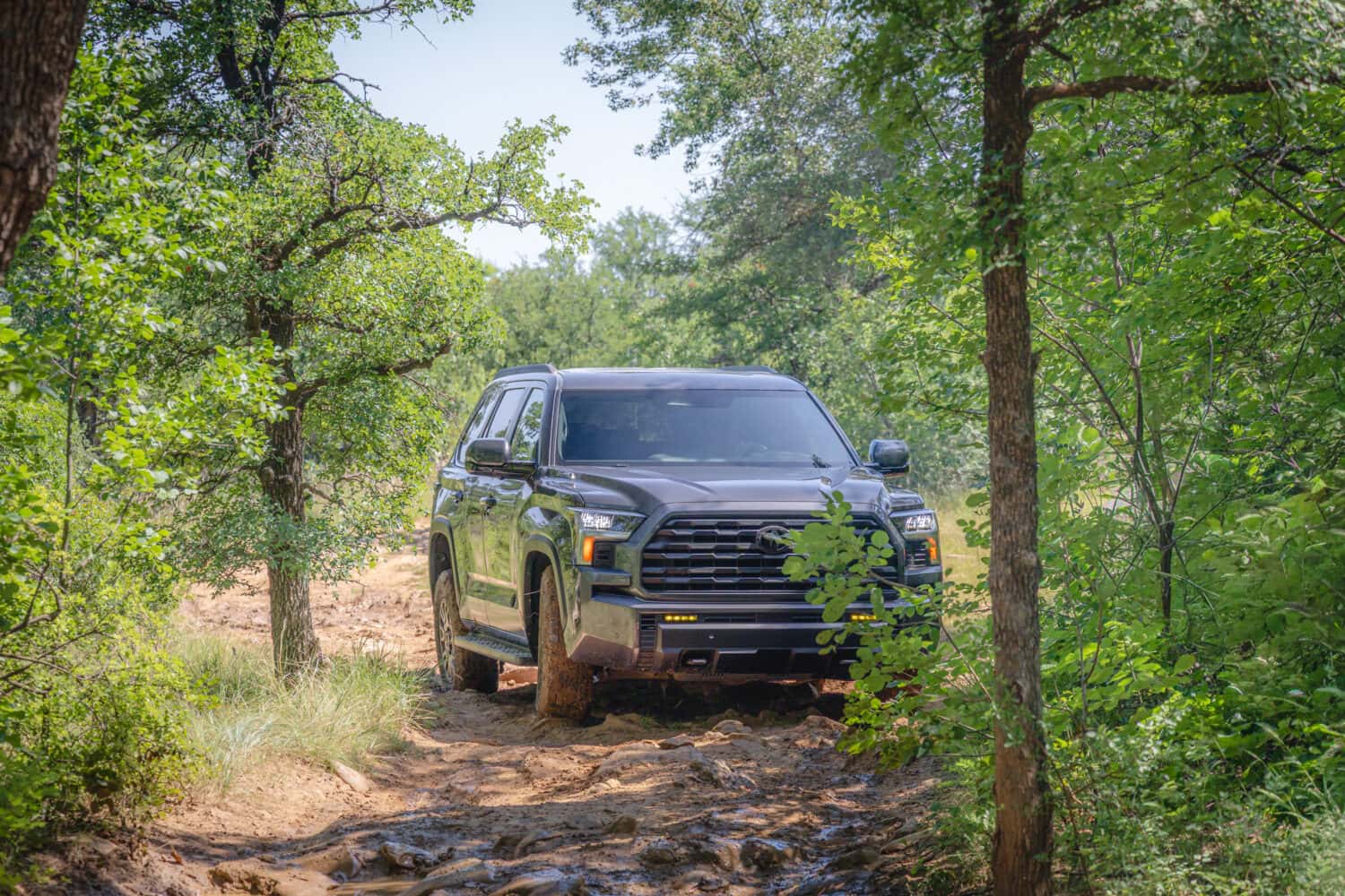 2027 Toyota Sequoia Trailhunter driving a bumpy dirt trail through trees