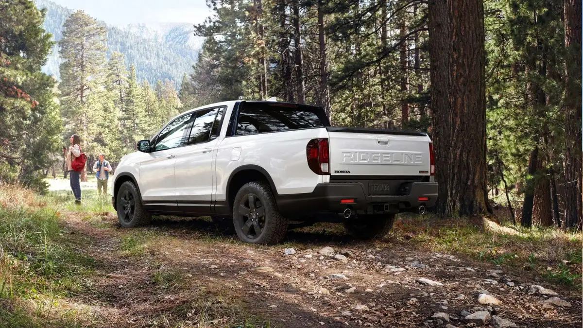 A white Toyota Tacoma parked on a dirt road in a forest