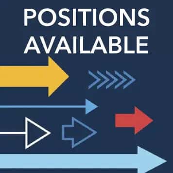 Sales Consultant 