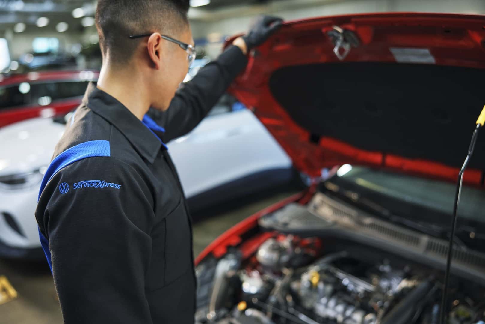 Volkswagen multipoint inspection