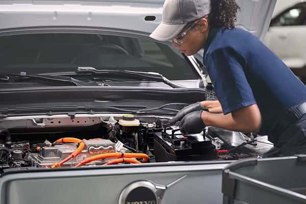 Car Doc Image