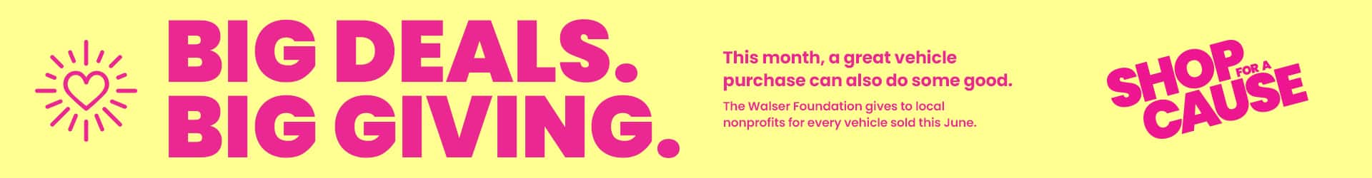 Shop For A Cause at Walser Kia