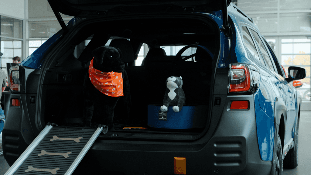 Dog in Vehicle