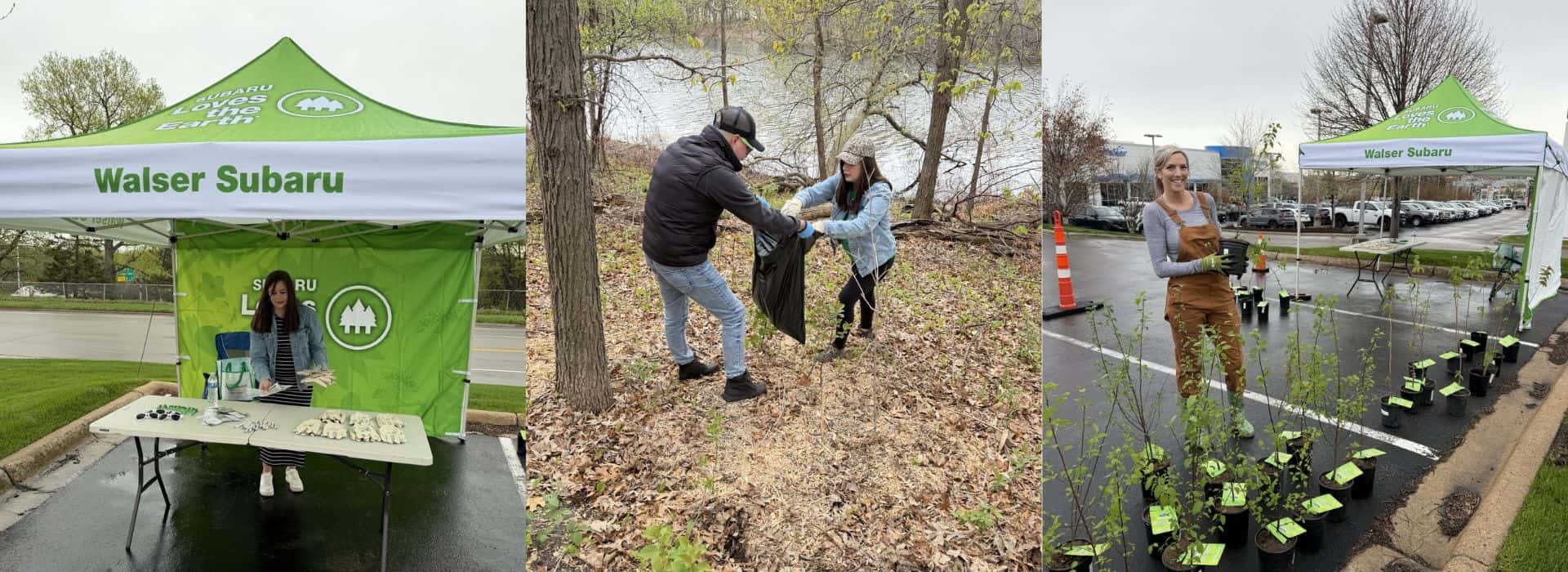 Walser Subaru Shares 100 Free Trees in Burnsville, MN Through Subaru Loves the Earth
