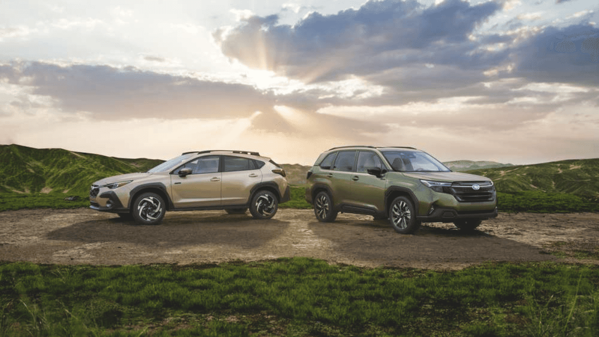 What is the difference between hybrid and electric cars