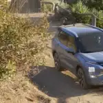 New Outlander