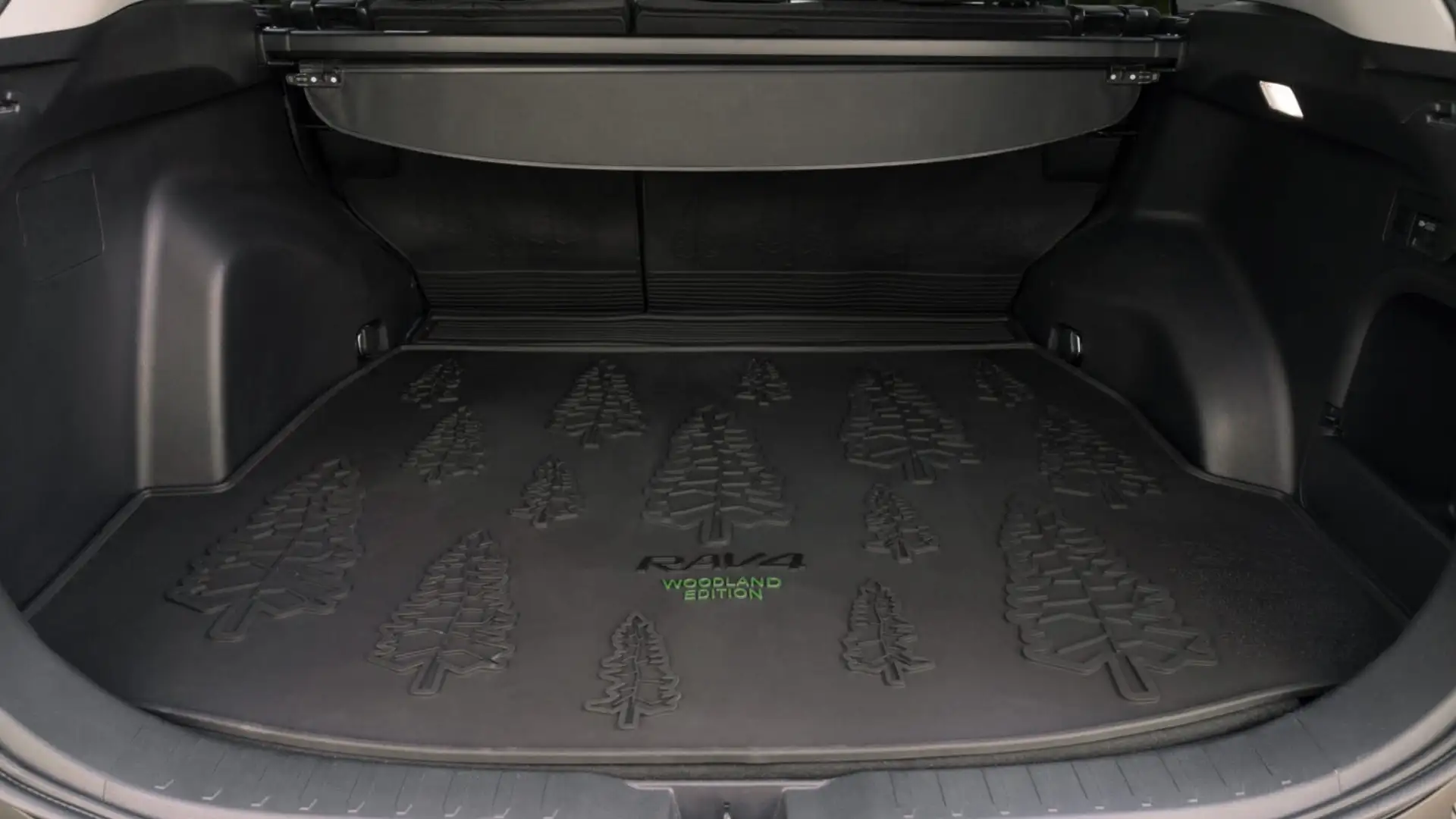 2025 Toyota RAV4 Hybrid interior cargo area highlighting flexible storage space and durable Woodland Edition cargo mat