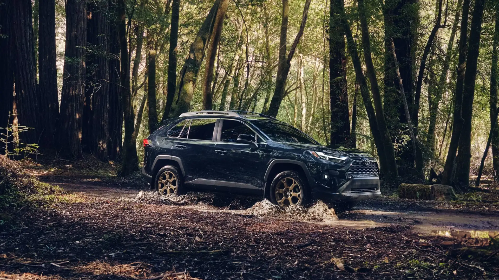 2025 Toyota RAV4 driving through a forest trail with water splashing, showcasing all-terrain capability and versatility for Hagerstown drivers.